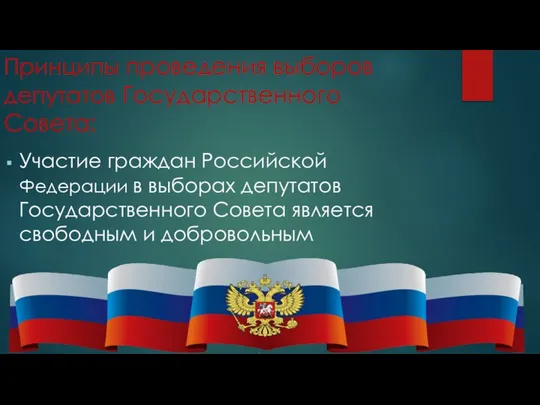 Принципы проведения выборов депутатов Государственного Совета: Участие граждан Российской Федерации в выборах