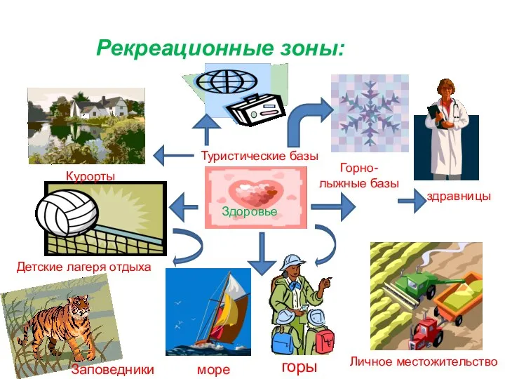 Рекреационные зоны: горы здравницы Курорты Детские лагеря отдыха Заповедники море Туристические базы