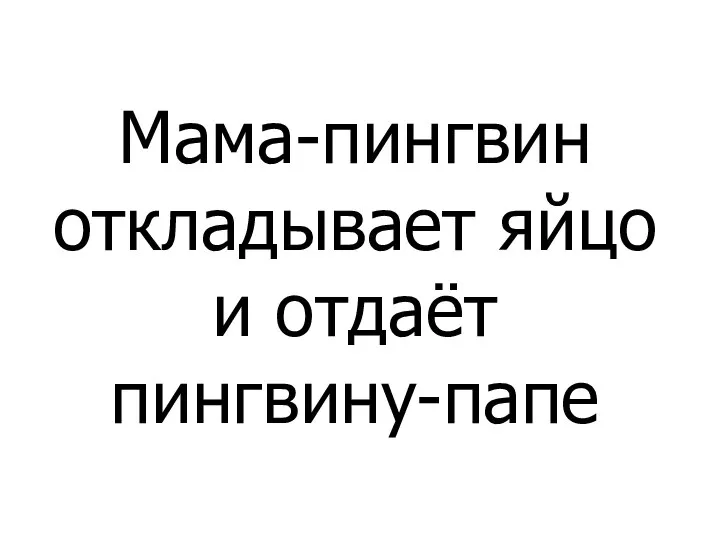 Мама-пингвин откладывает яйцо и отдаёт пингвину-папе