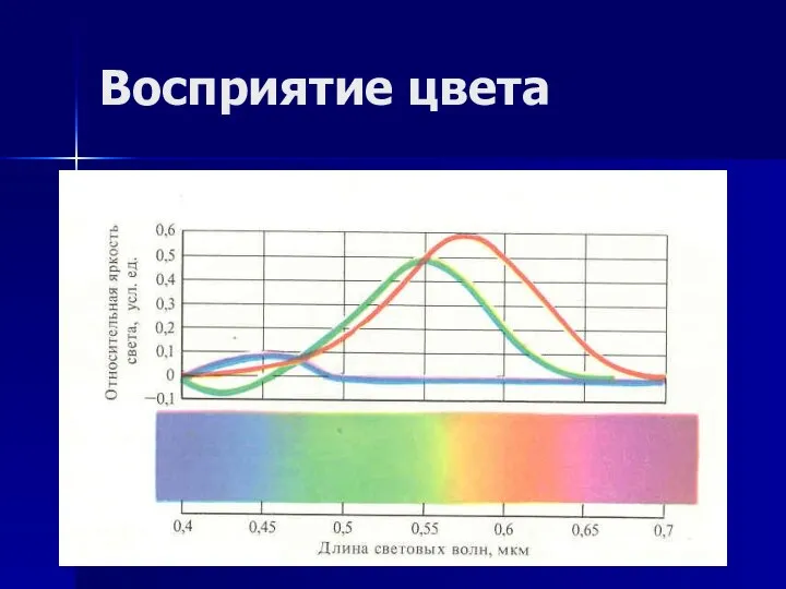 Восприятие цвета