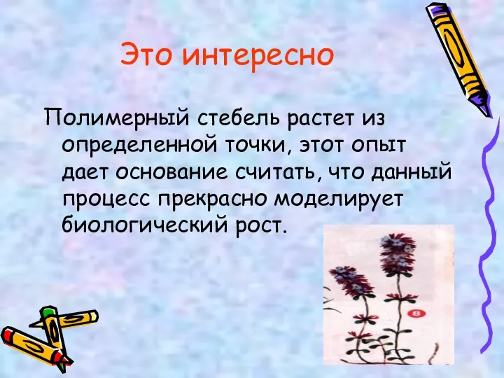 Это интересно Полимерный стебель растет из определенной точки, этот опыт дает основание