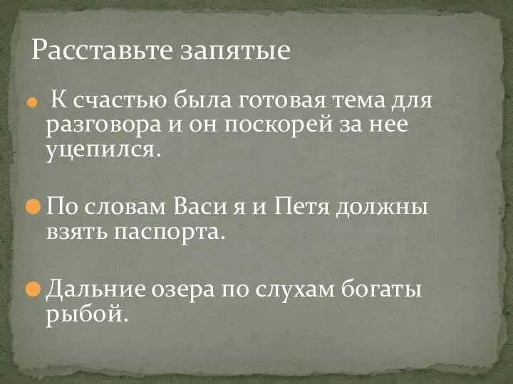 К счастью была готовая тема для разговора и он поскорей за нее