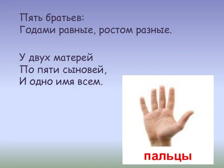 Пять братьев: Годами равные, ростом разные. У двух матерей По пяти сыновей,