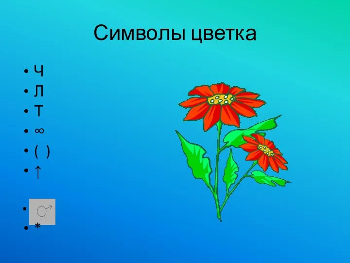 Символы цветка Ч Л Т ∞ ( ) ↑ . *