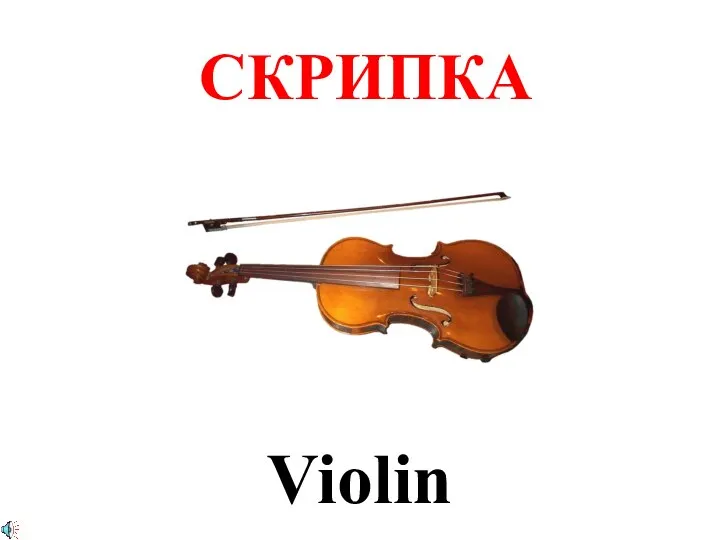 СКРИПКА Violin