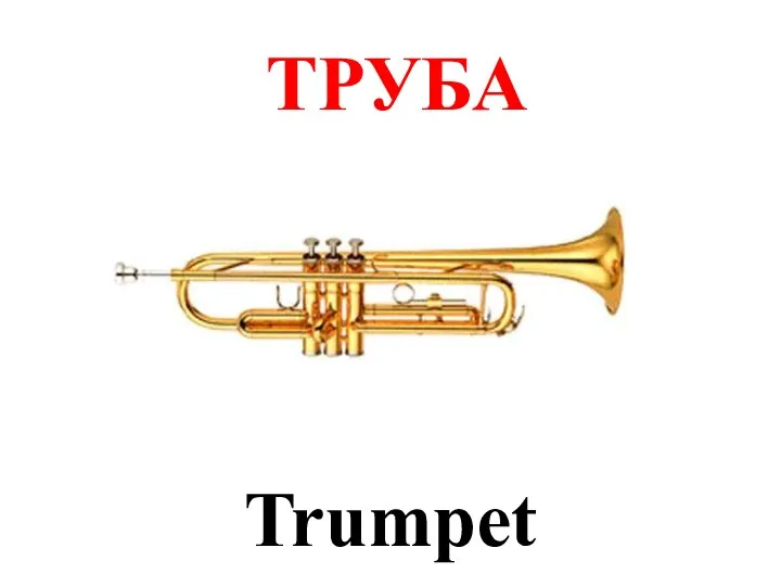 ТРУБА Trumpet