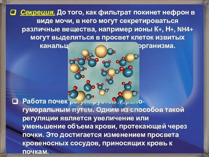 Секреция. До того, как фильтрат покинет нефрон в виде мочи, в него