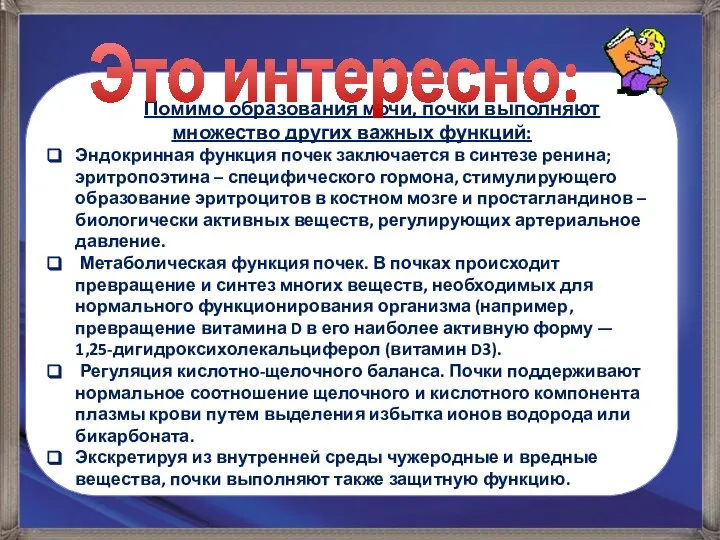 Помимо образования мочи, почки выполняют множество других важных функций: Эндокринная функция почек