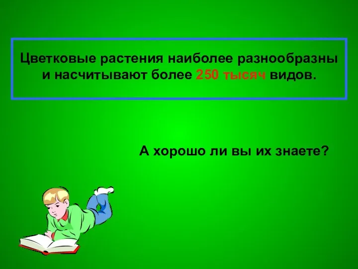 Цветковые растения наиболее разнообразны и насчитывают более 250 тысяч видов. А хорошо ли вы их знаете?