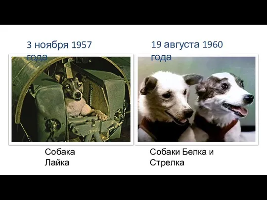 3 ноября 1957 года Собака Лайка 19 августа 1960 года Собаки Белка и Стрелка
