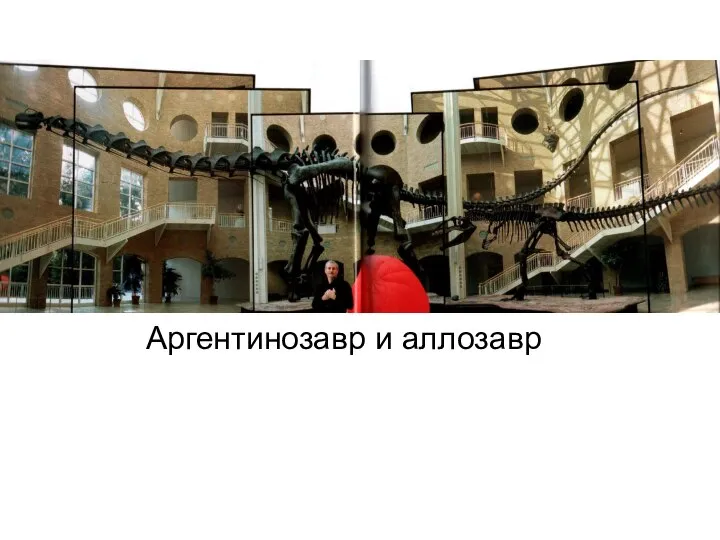 Аргентинозавр и аллозавр