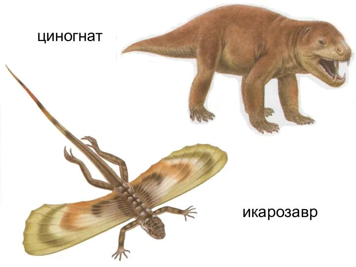 циногнат икарозавр