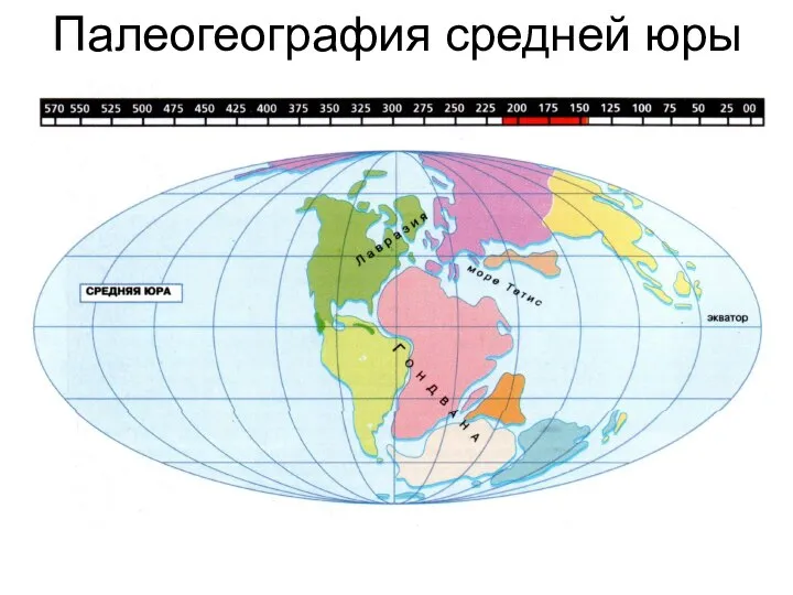 Палеогеография средней юры