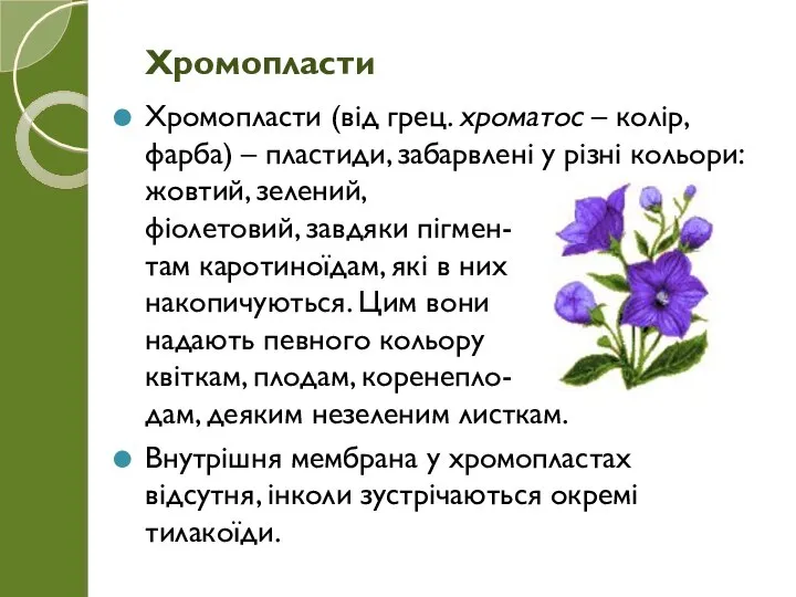 Хромопласти (від грец. хроматос – колір, фарба) – пластиди, забарвлені у різні