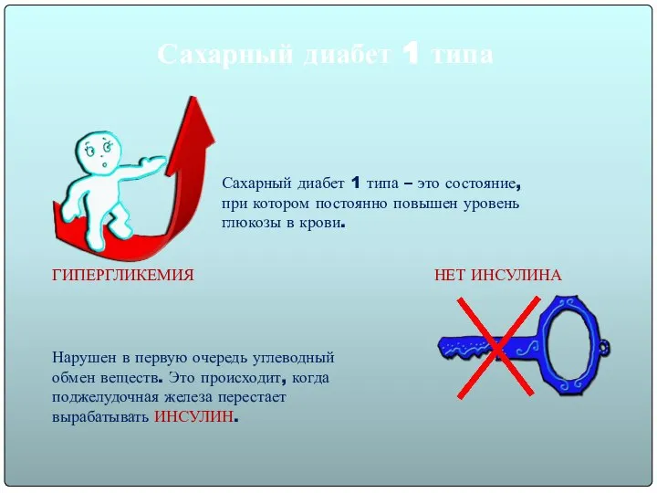 Сахарный диабет 1 типа Сахарный диабет 1 типа – это состояние, при