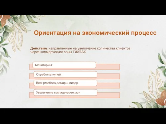 Действия, направленные на увеличение количества клиентов через коммерческие зоны ТЖ/ПАК Ориентация на экономический процесс