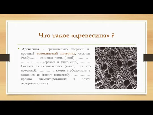 Что такое «древесина» ? Древесина - сравнительно твердый и прочный волокнистый материал,