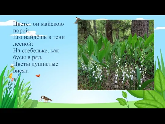 Цветёт он майскою порой, Его найдёшь в тени лесной: На стебельке, как
