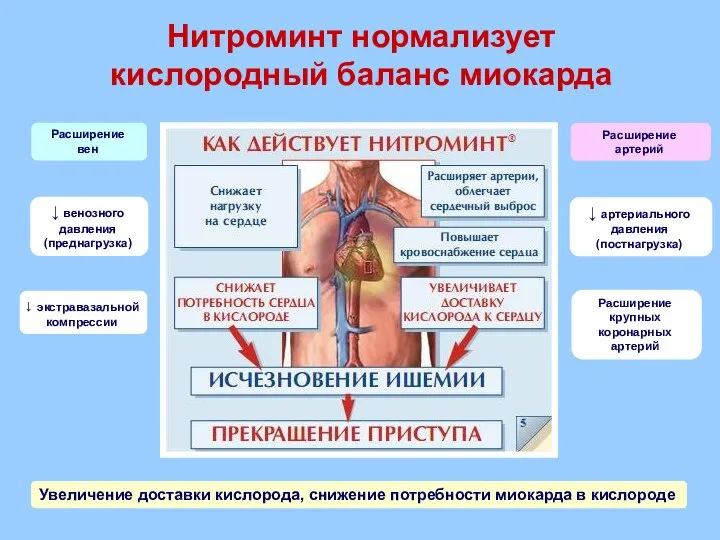 Нитроминт нормализует кислородный баланс миокарда ↓ венозного давления (преднагрузка) ↓ артериального давления