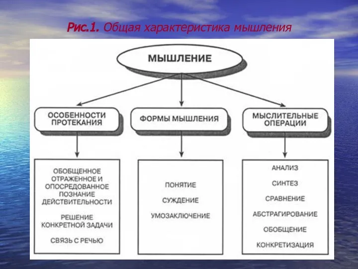 Рис.1. Общая характеристика мышления