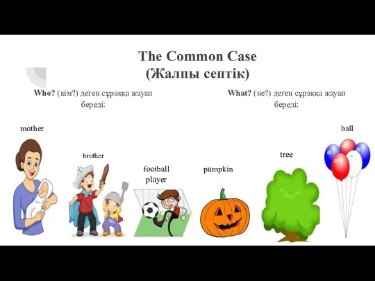 The Common Case (Жалпы септік) Who? (кім?) деген сұраққа жауап береді: What?