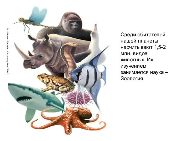 Среди обитателей нашей планеты насчитывают 1,5-2 млн. видов животных. Их изучением занимается наука – Зоология. http://www.folomade.ru/taxonomy/term/686/0