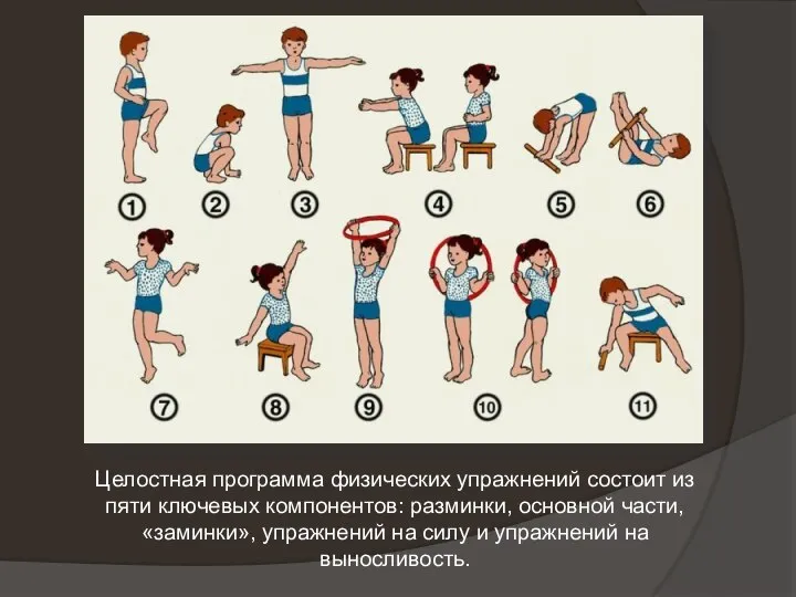 Целостная программа физических упражнений состоит из пяти ключевых компонентов: разминки, основной части,