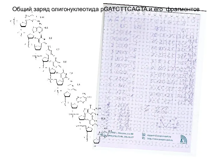 Общий заряд олигонуклеотида рGATCTTCAGTA и его фрагментов