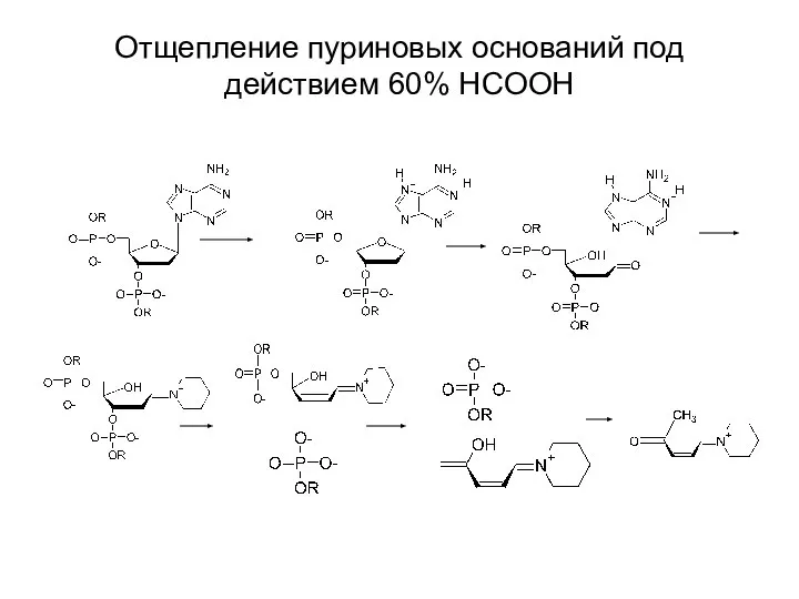 Отщепление пуриновых оснований под действием 60% HCOOH