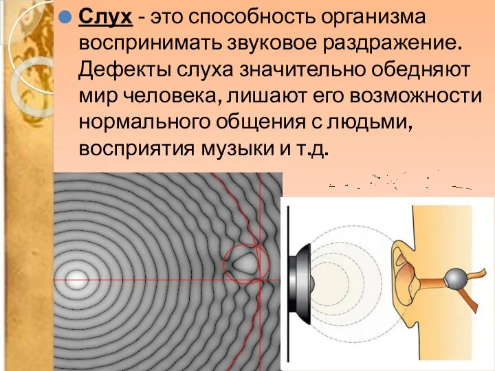 Слух - это способность организма воспринимать звуковое раздражение. Дефекты слуха значительно обедняют