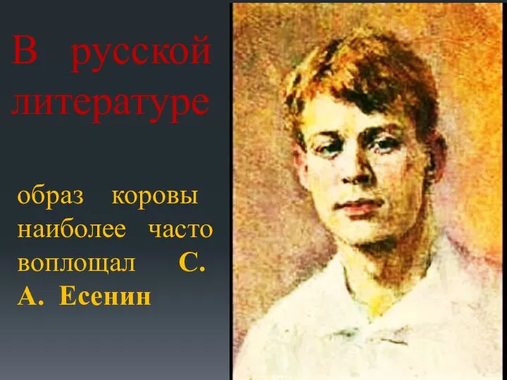 В русской литературе образ коровы наиболее часто воплощал С.А. Есенин