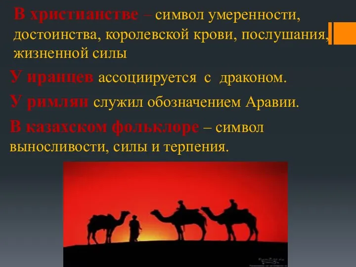 В христианстве – символ умеренности, достоинства, королевской крови, послушания, жизненной силы У