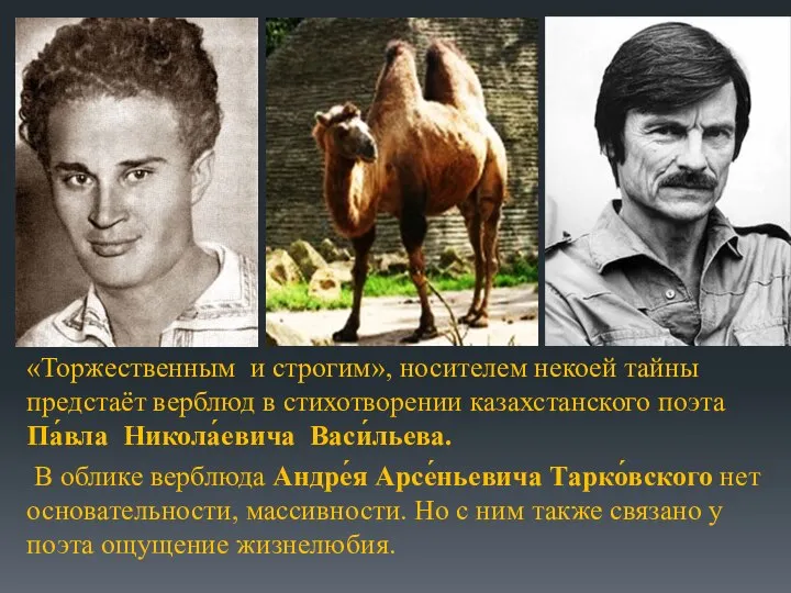 «Торжественным и строгим», носителем некоей тайны предстаёт верблюд в стихотворении казахстанского поэта