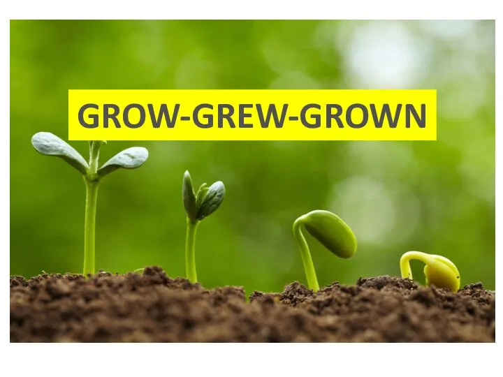 GROW-GREW-GROWN