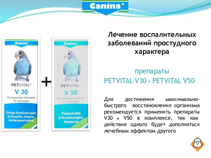 Лечение воспалительных заболеваний простудного характера препараты PETVITAL V30 + PETVITAL V50 Для