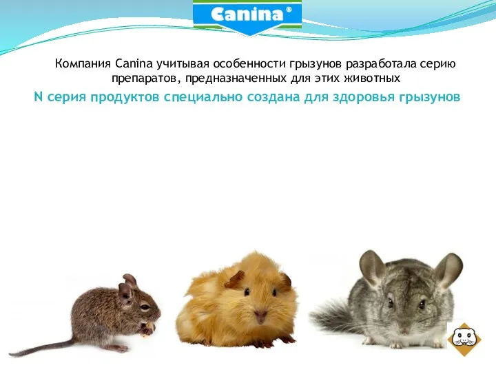 Компания Canina учитывая особенности грызунов разработала серию препаратов, предназначенных для этих животных