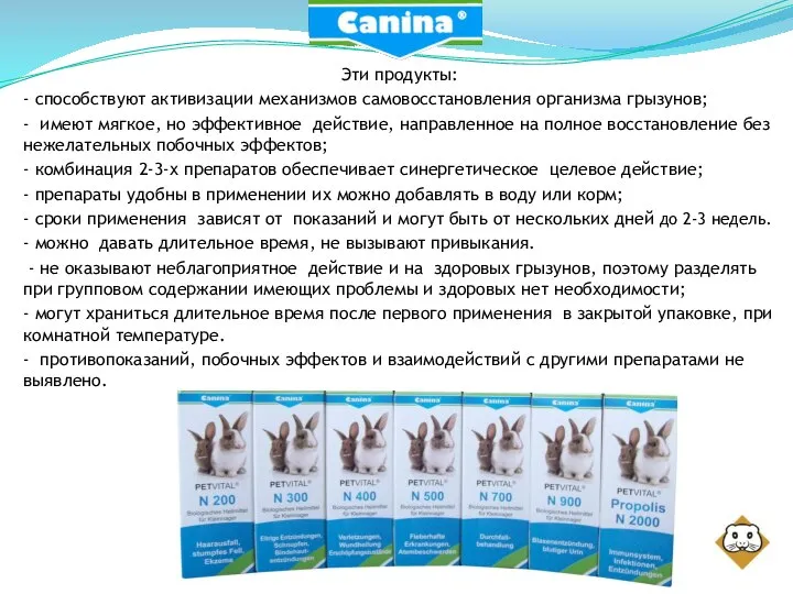 Эти продукты: - способствуют активизации механизмов самовосстановления организма грызунов; - имеют мягкое,