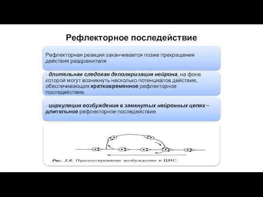 Рефлекторное последействие