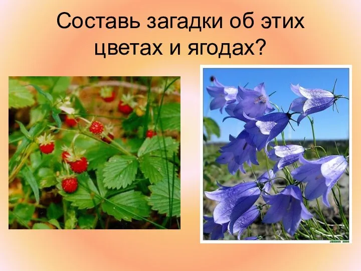 Составь загадки об этих цветах и ягодах?