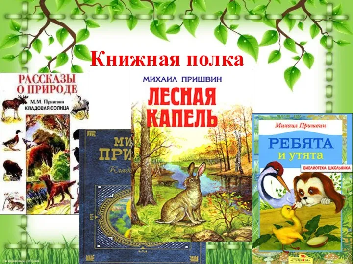 Книжная полка