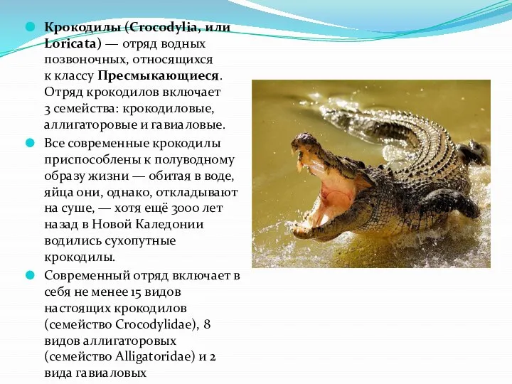 Крокодилы (Crocodylia, или Loricata) — отряд водных позвоночных, относящихся к классу Пресмыкающиеся.