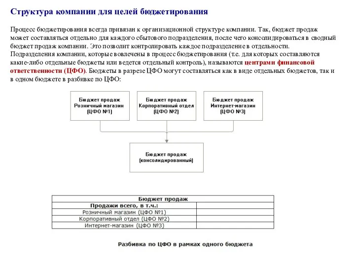 Структура компании для целей бюджетирования Процесс бюджетирования всегда привязан к организационной структуре