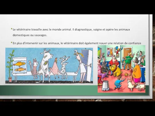 Le vétérinaire travaille avec le monde animal. Il diagnostique, soigne et opère