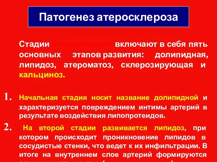 Патогенез атеросклероза Стадии атеросклероза включают в себя пять основных этапов развития: долипидная,