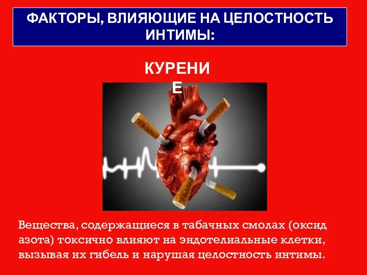 Вещества, содержащиеся в табачных смолах (оксид азота) токсично влияют на эндотелиальные клетки,