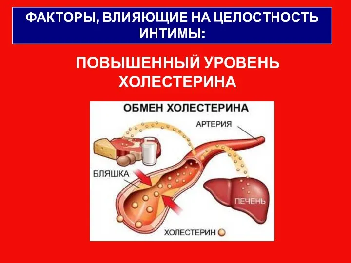 ПОВЫШЕННЫЙ УРОВЕНЬ ХОЛЕСТЕРИНА ФАКТОРЫ, ВЛИЯЮЩИЕ НА ЦЕЛОСТНОСТЬ ИНТИМЫ: