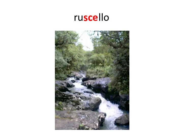 ruscello