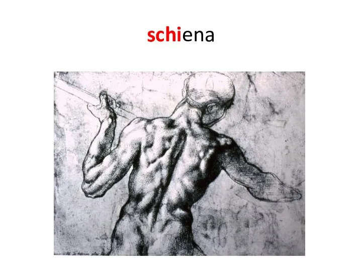 schiena