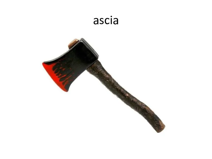 ascia