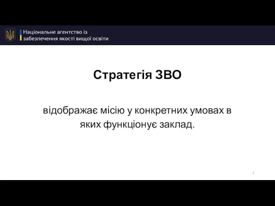 Стратегія ЗВО відображає місію у конкретних умовах в яких функціонує заклад.